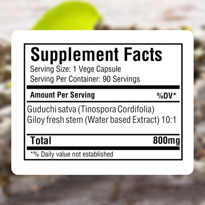 Premium imported Tinospora Cordifolia capsules for immune defense and blood purification support