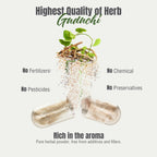 Close up of high potency 800 milligram plant based Giloy capsules for cellular health