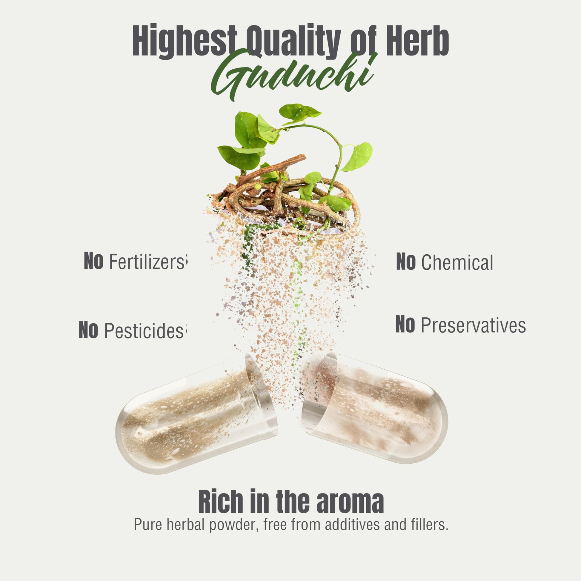 Close up of high potency 800 milligram plant based Giloy capsules for cellular health