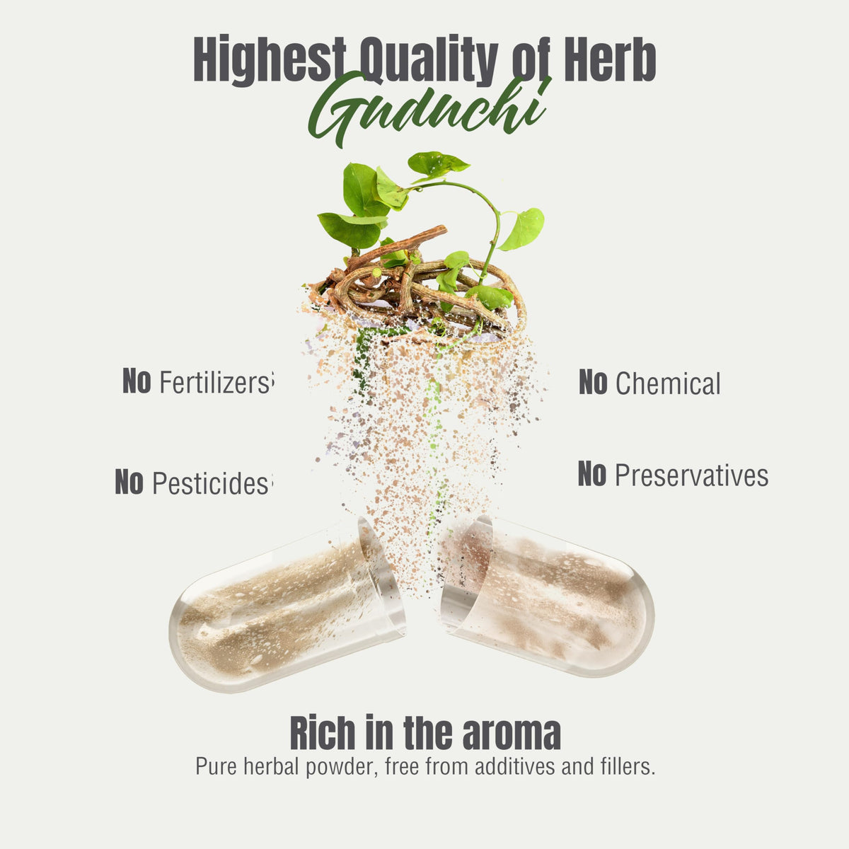 Close up of high potency 800 milligram plant based Giloy capsules for cellular health