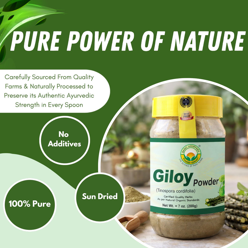 Close up of pure Tinospora Cordifolia herbal powder texture