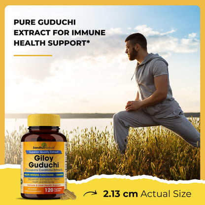Gluten free and dairy free organic Giloy capsules by SandhuHerbals