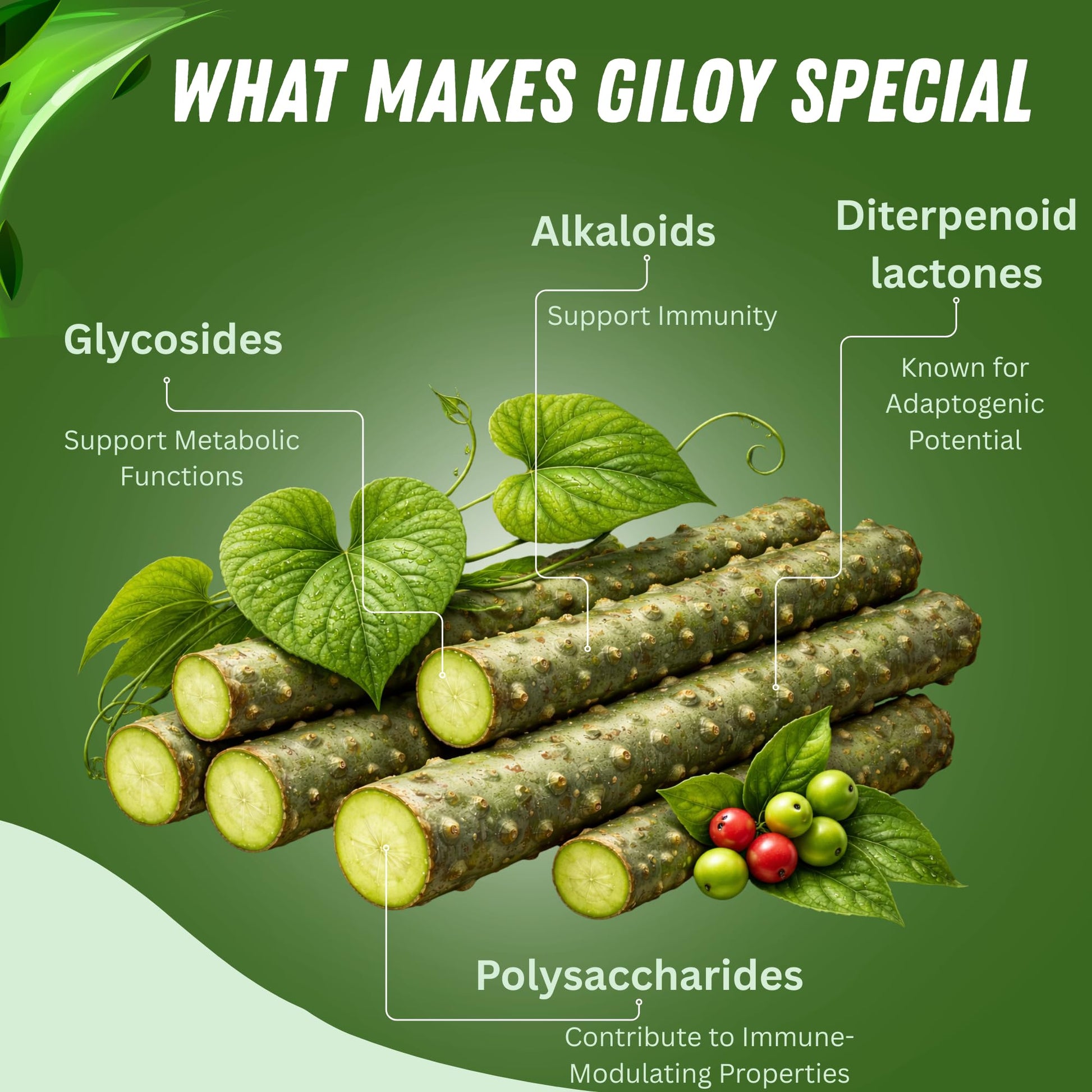 Basic Ayurveda Giloy powder container with label details