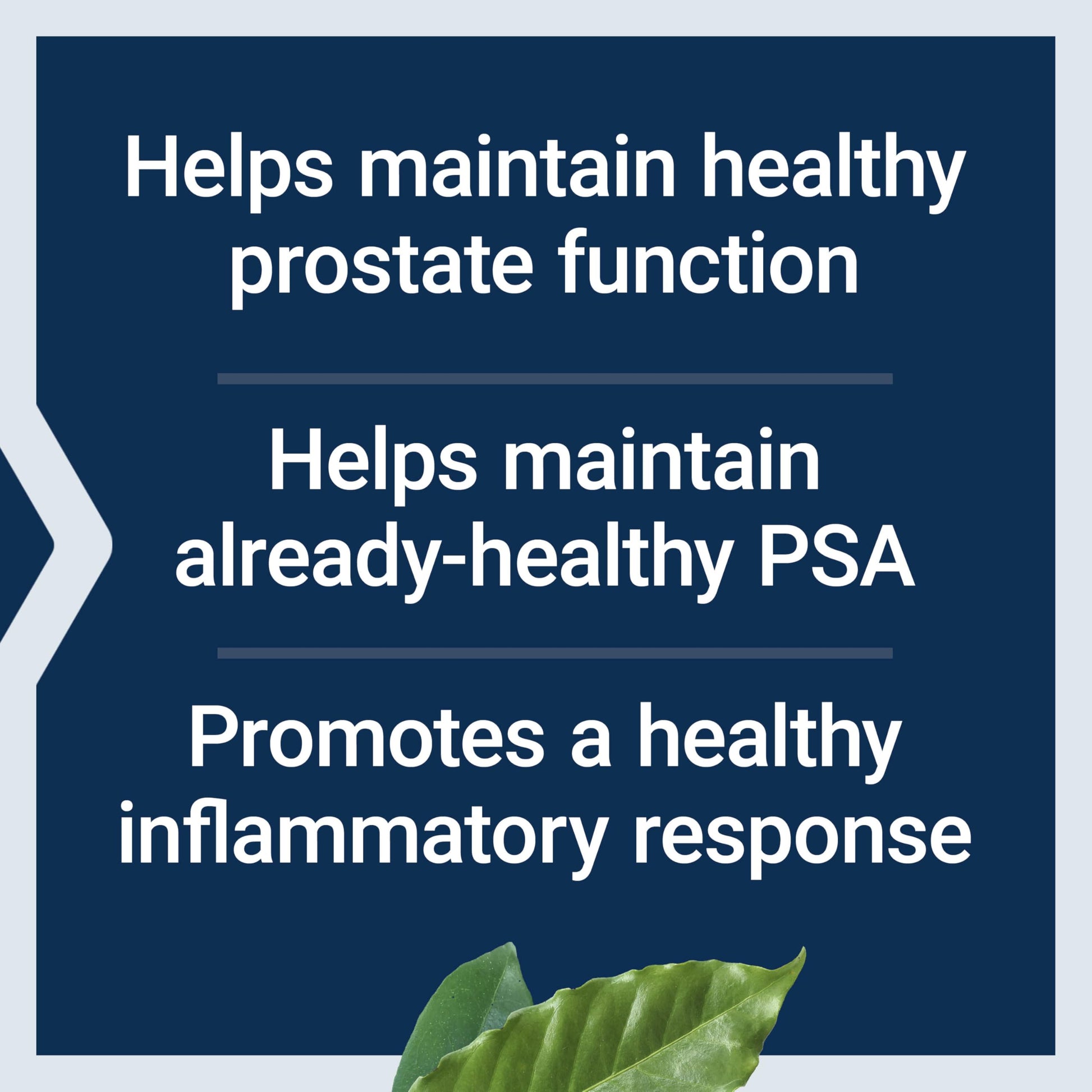 Authentic imported Life Extension Ultra Prostate Formula 60 softgels bottle on a white background.