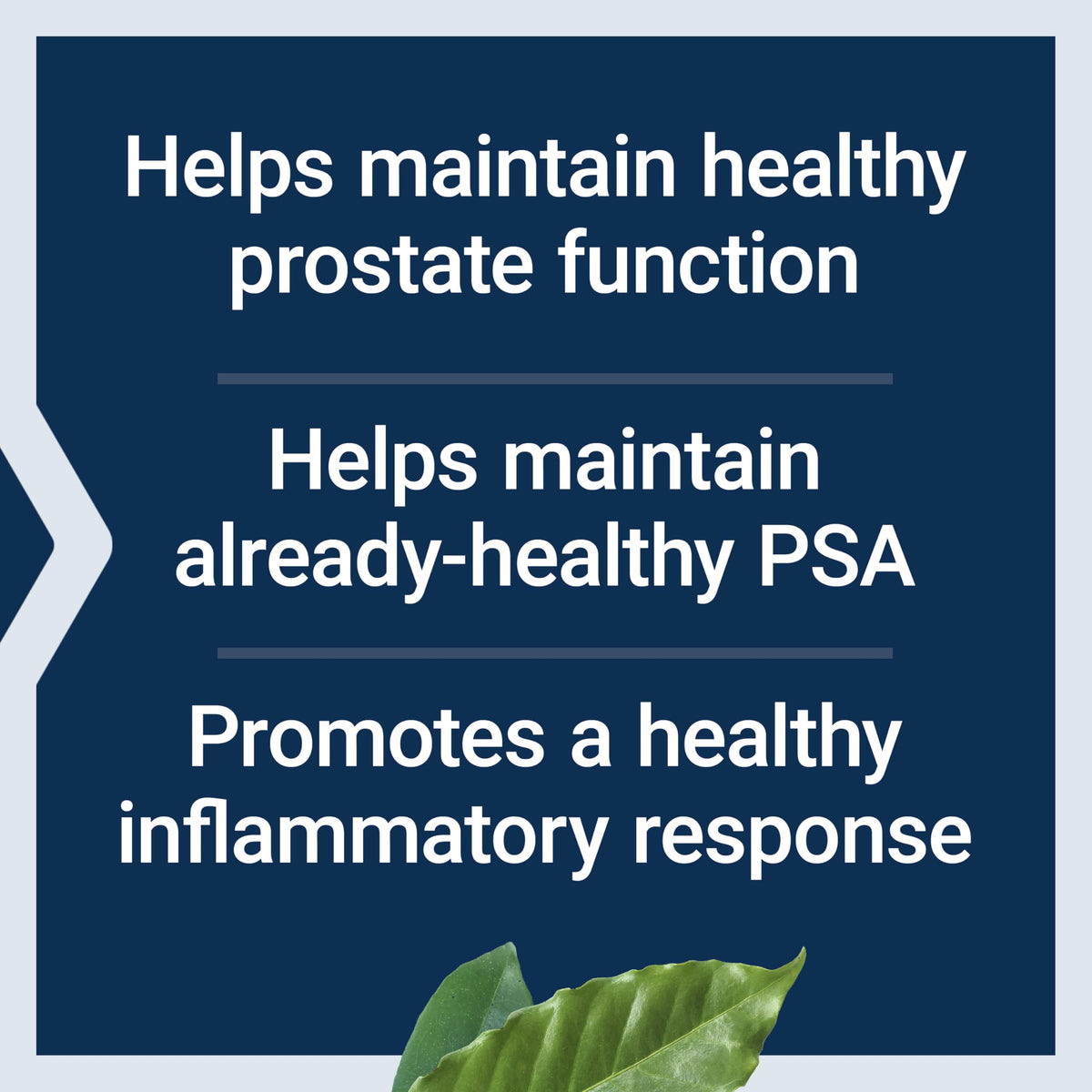 Authentic imported Life Extension Ultra Prostate Formula 60 softgels bottle on a white background.