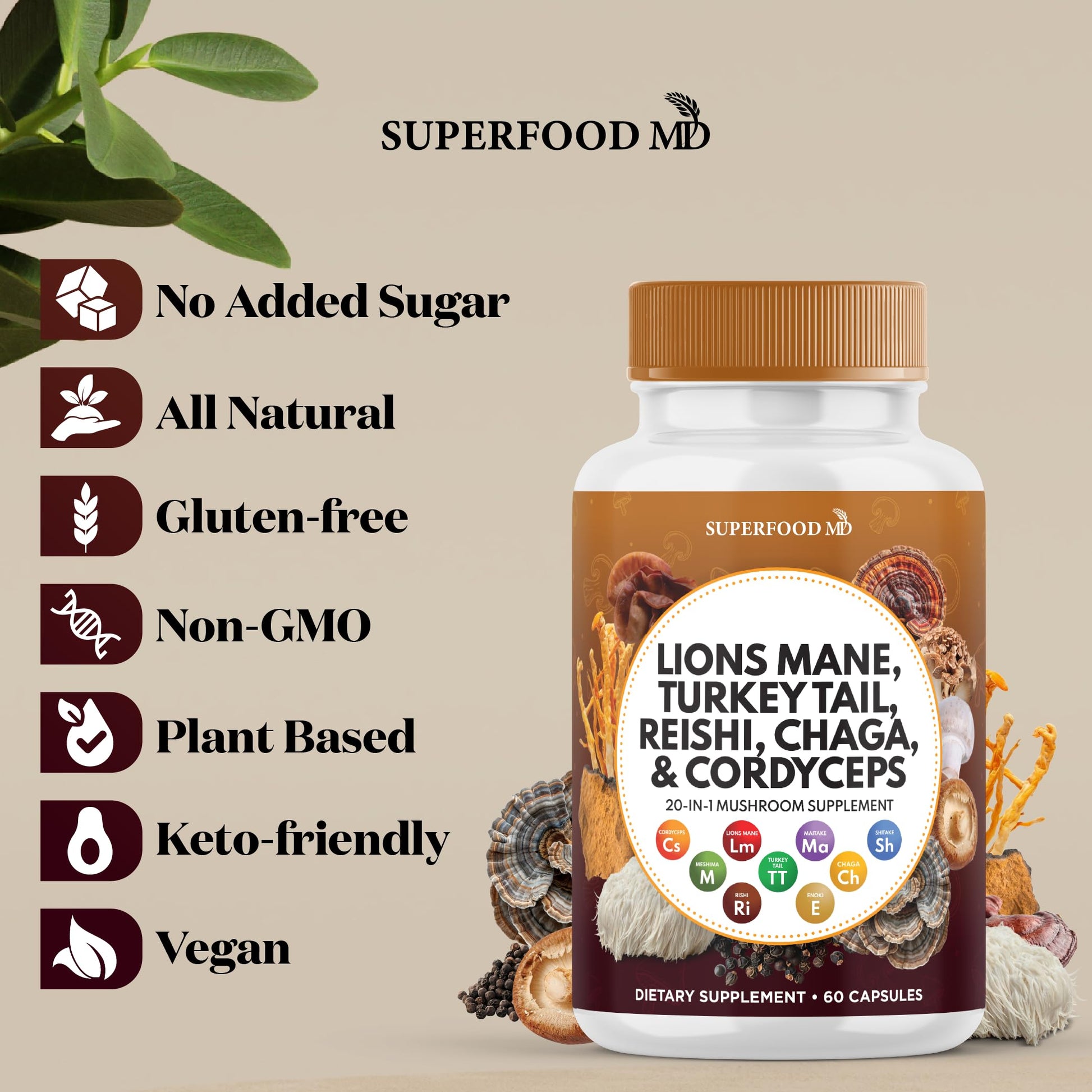 Top view of Superfood MD mushroom supplement bottle cap