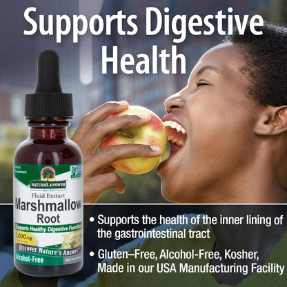 Organic Marshmallow Root extract 1 fluid ounce bottle