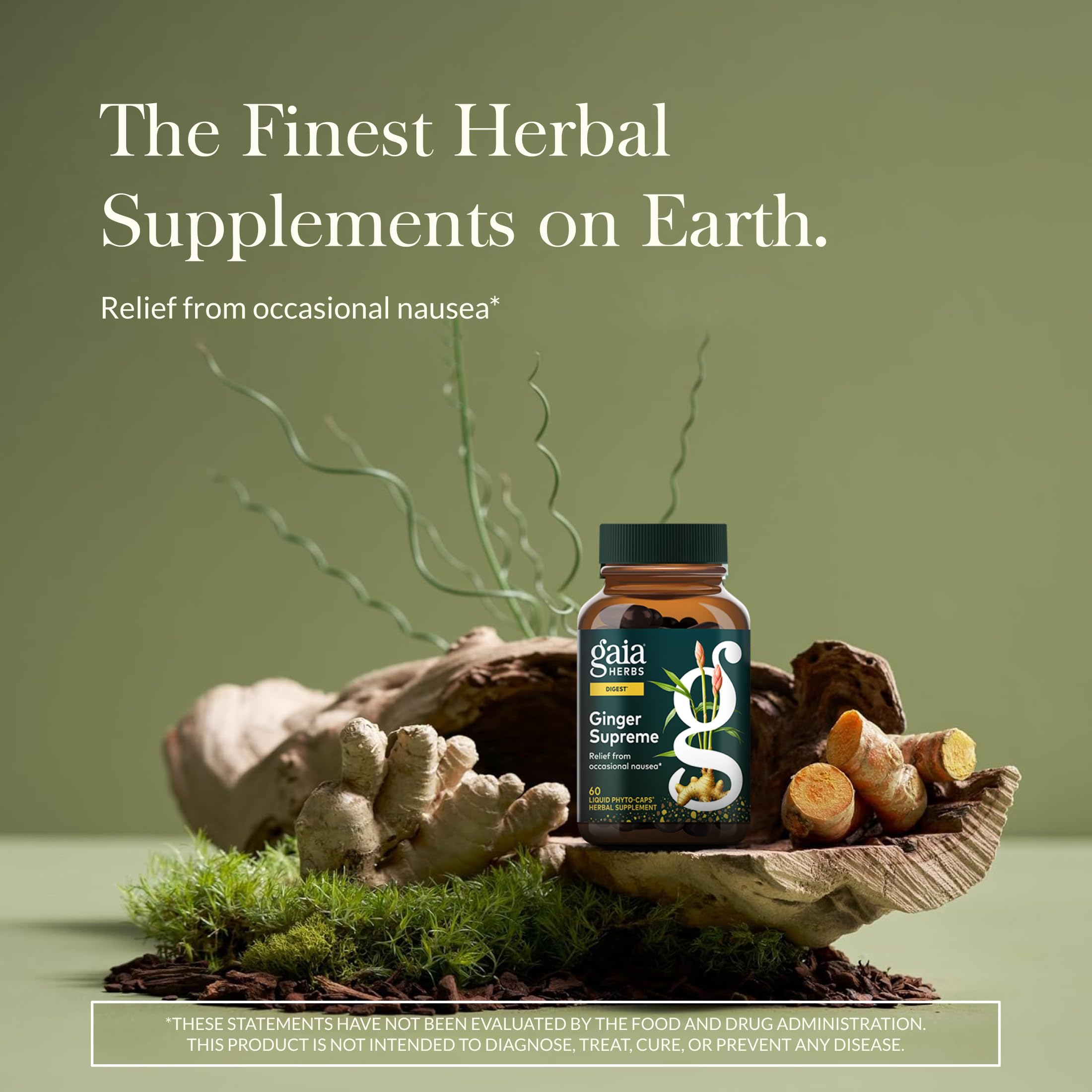 Organic ginger and turmeric root supplement bottle by Gaia Herbs for relieving occasional nausea