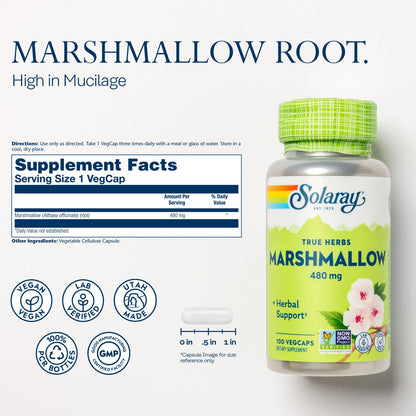 Solaray Marshmallow Root 480mg capsules health supplement label details