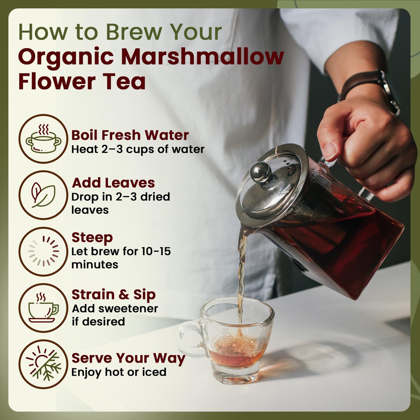 Back label showing ingredients of Organic Way marshmallow root