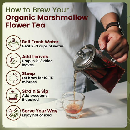 Back label showing ingredients of Organic Way marshmallow root