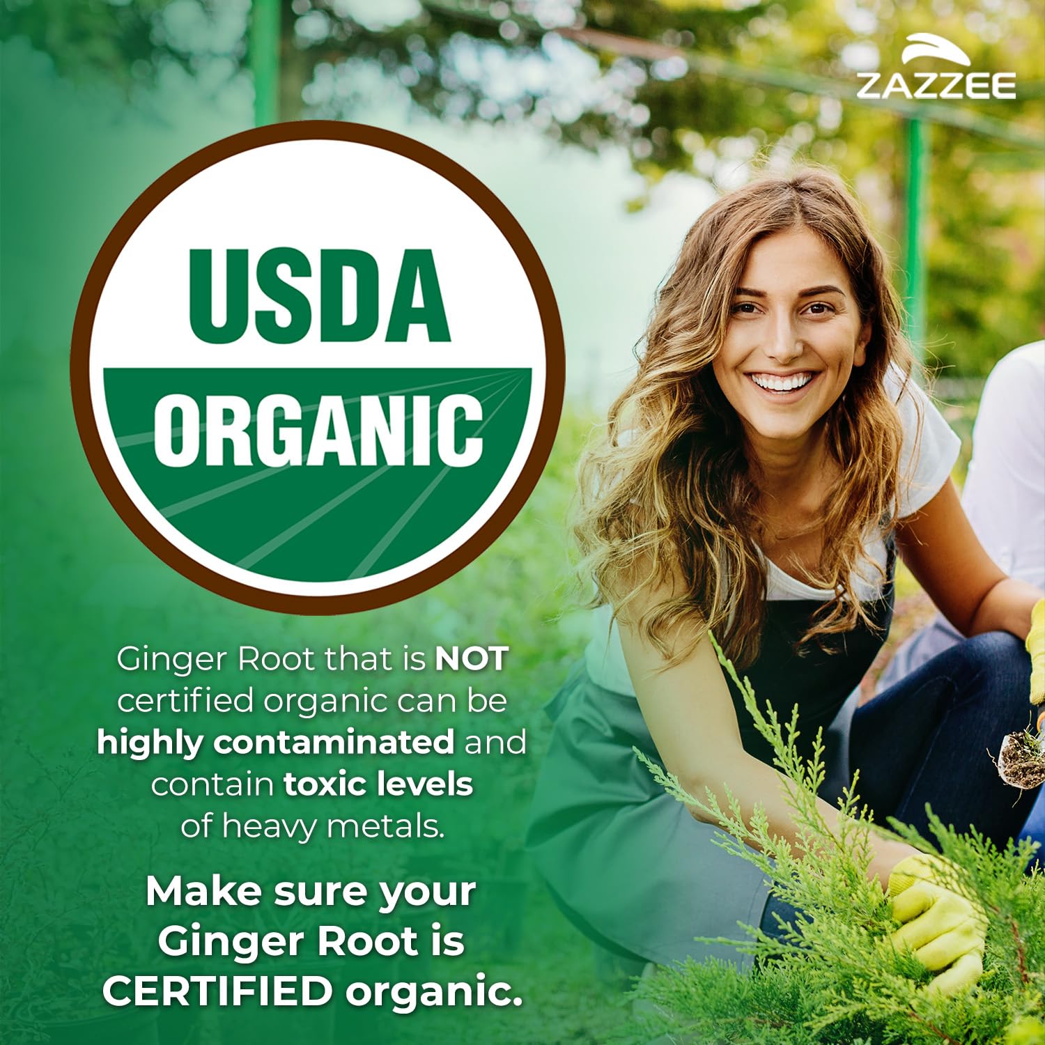 Zazzee USDA organic ginger root 20 to 1 extract label details displaying supplement facts.