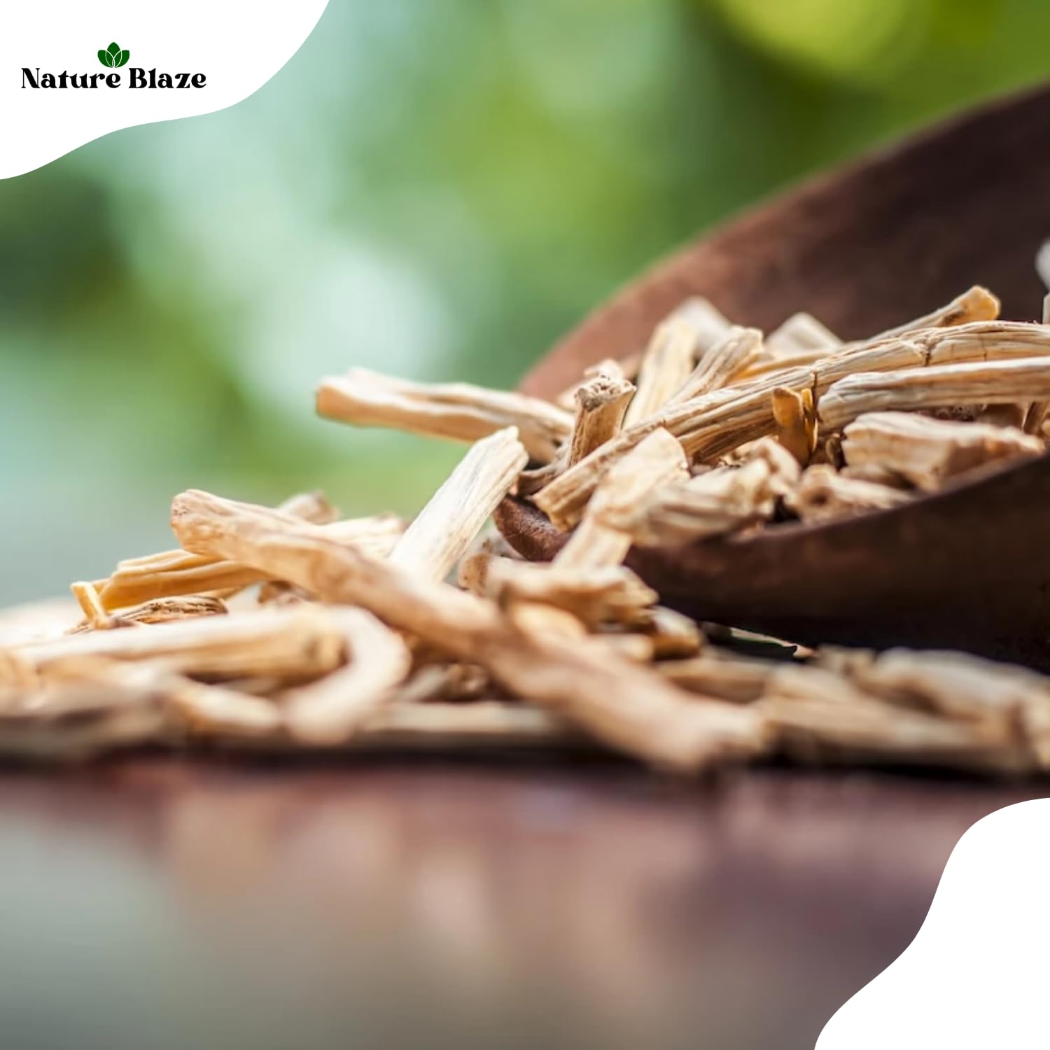 Authentic Nature Blaze Shatavari 200g powder being measured with a teaspoon.