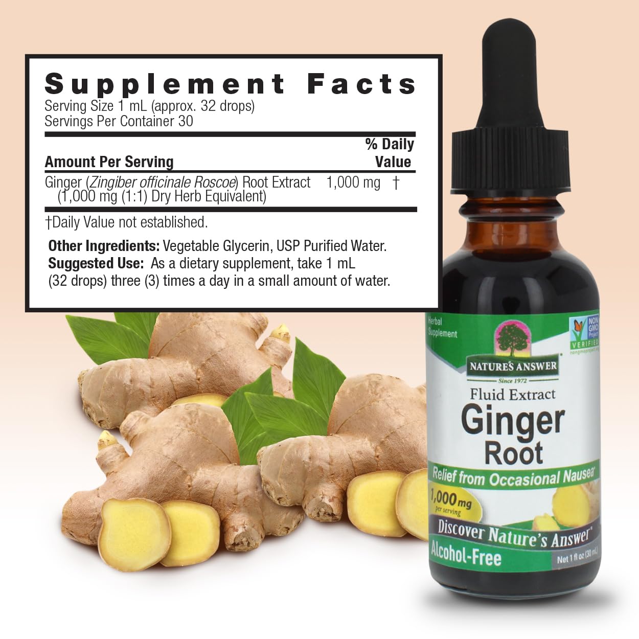 Back label of Nature's Answer ginger root fluid extract showing supplement facts and serving size
