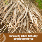 Herbsforever Shatavari powder for reproductive health and lactation