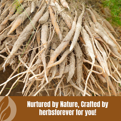 Herbsforever Shatavari powder for reproductive health and lactation