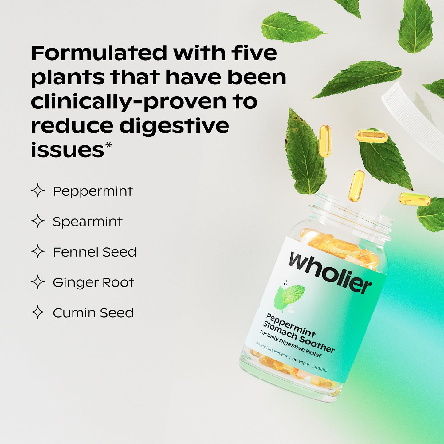 Wholier anti nausea and fast bloating support vegan capsules supplement facts