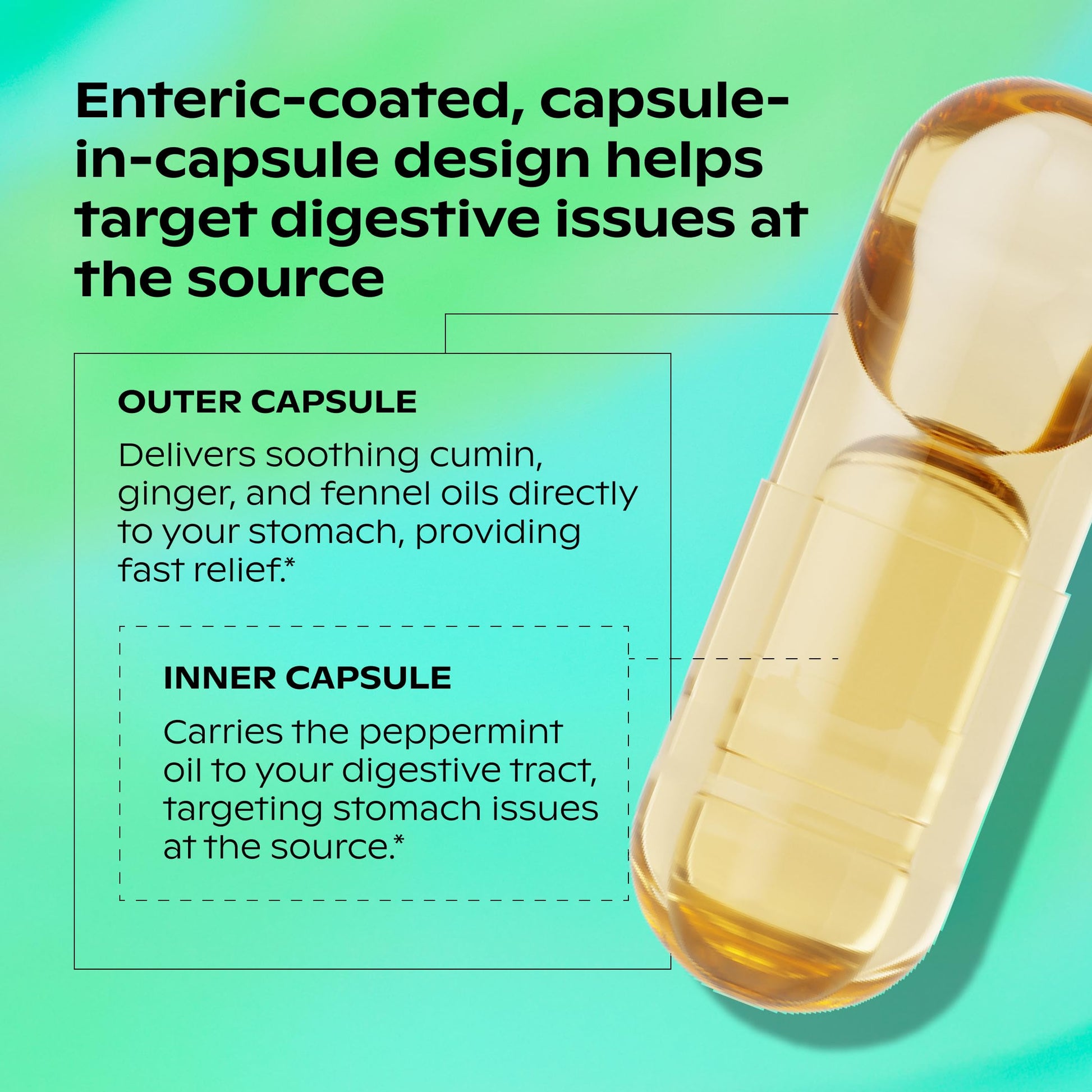 Wholier capsule in capsule technology for targeted intestinal gas relief