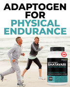 Renew Actives adaptogen supplement for hormonal balance and energy.