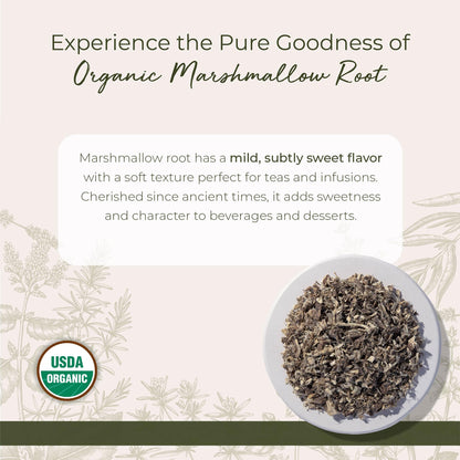 Close up of dried organic marshmallow root herb texture