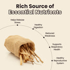 Pure Asparagus racemosus root powder texture close up view