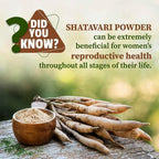 Measuring a three gram serving of Vedapure Shatavari powder