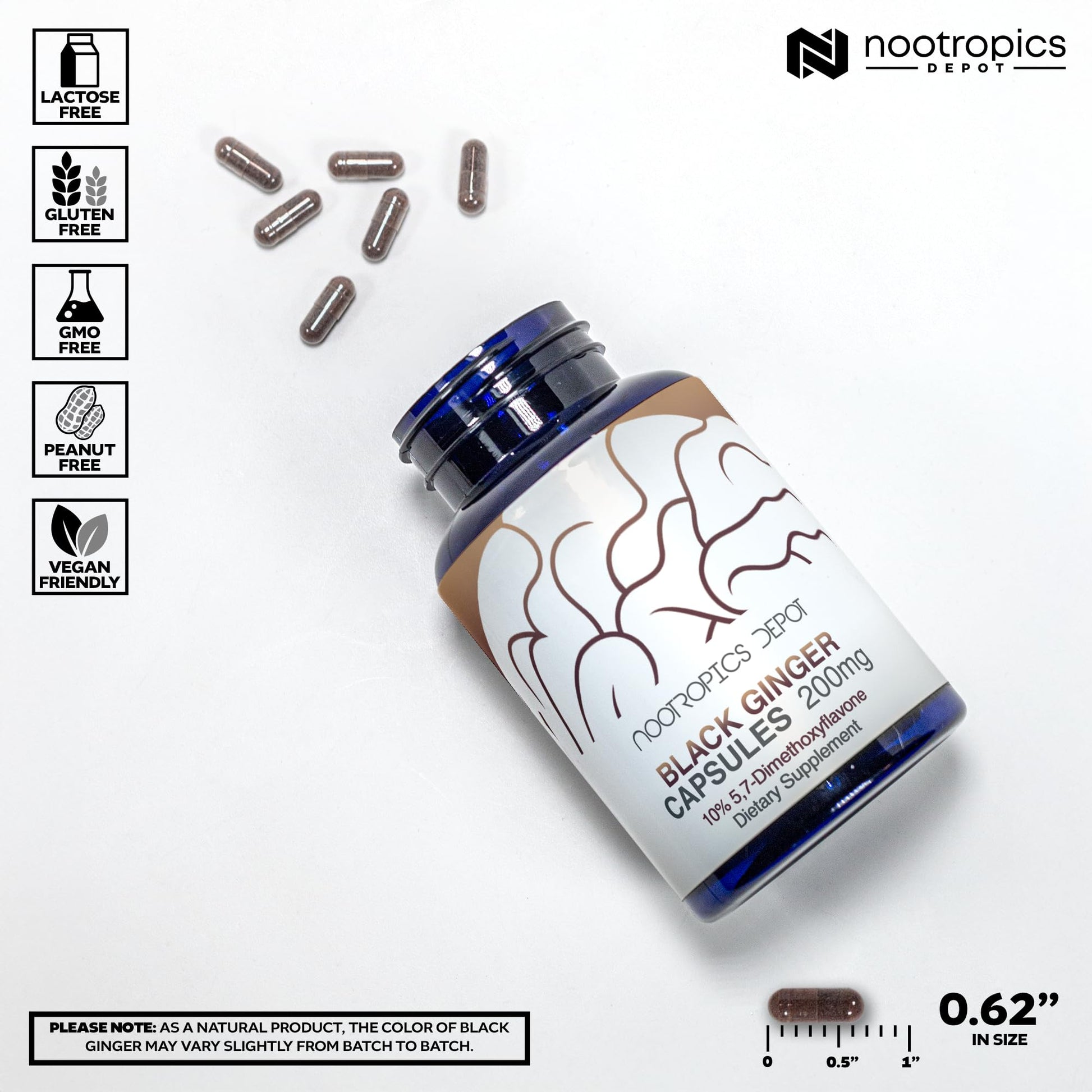 Back profile of Nootropics Depot Black Ginger Extract bottle highlighting standardizations and cGMP manufacturing certifications.