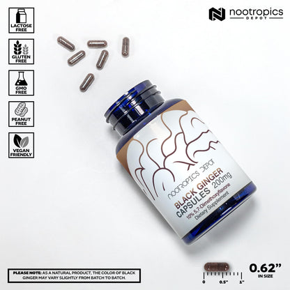 Back profile of Nootropics Depot Black Ginger Extract bottle highlighting standardizations and cGMP manufacturing certifications.