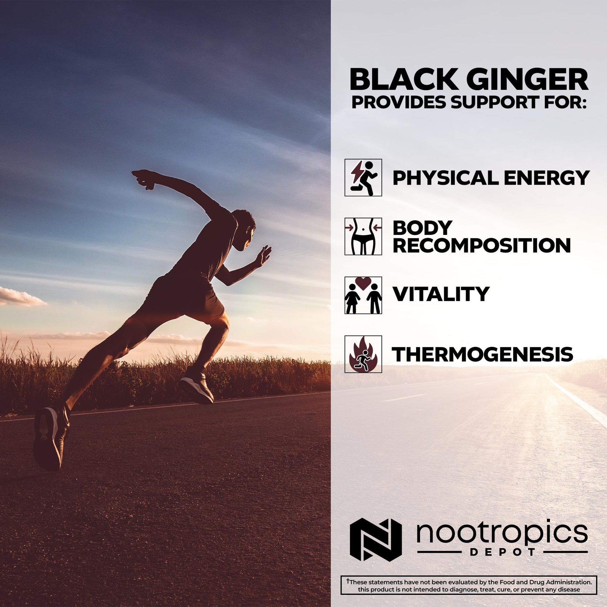 Top angle view of Nootropics Depot Thai Ginseng extract container with its safety seal intact.