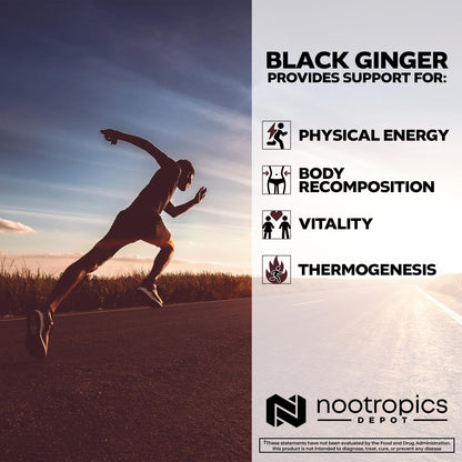 Top angle view of Nootropics Depot Thai Ginseng extract container with its safety seal intact.