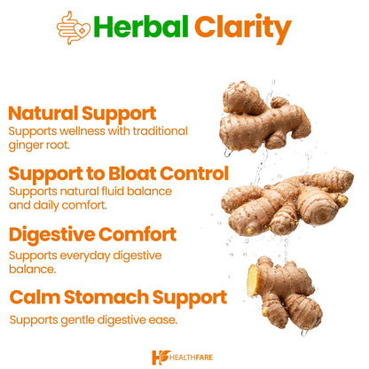 HealthFare 200 vegan ginger pills container highlighting antioxidant and joint comfort benefits.