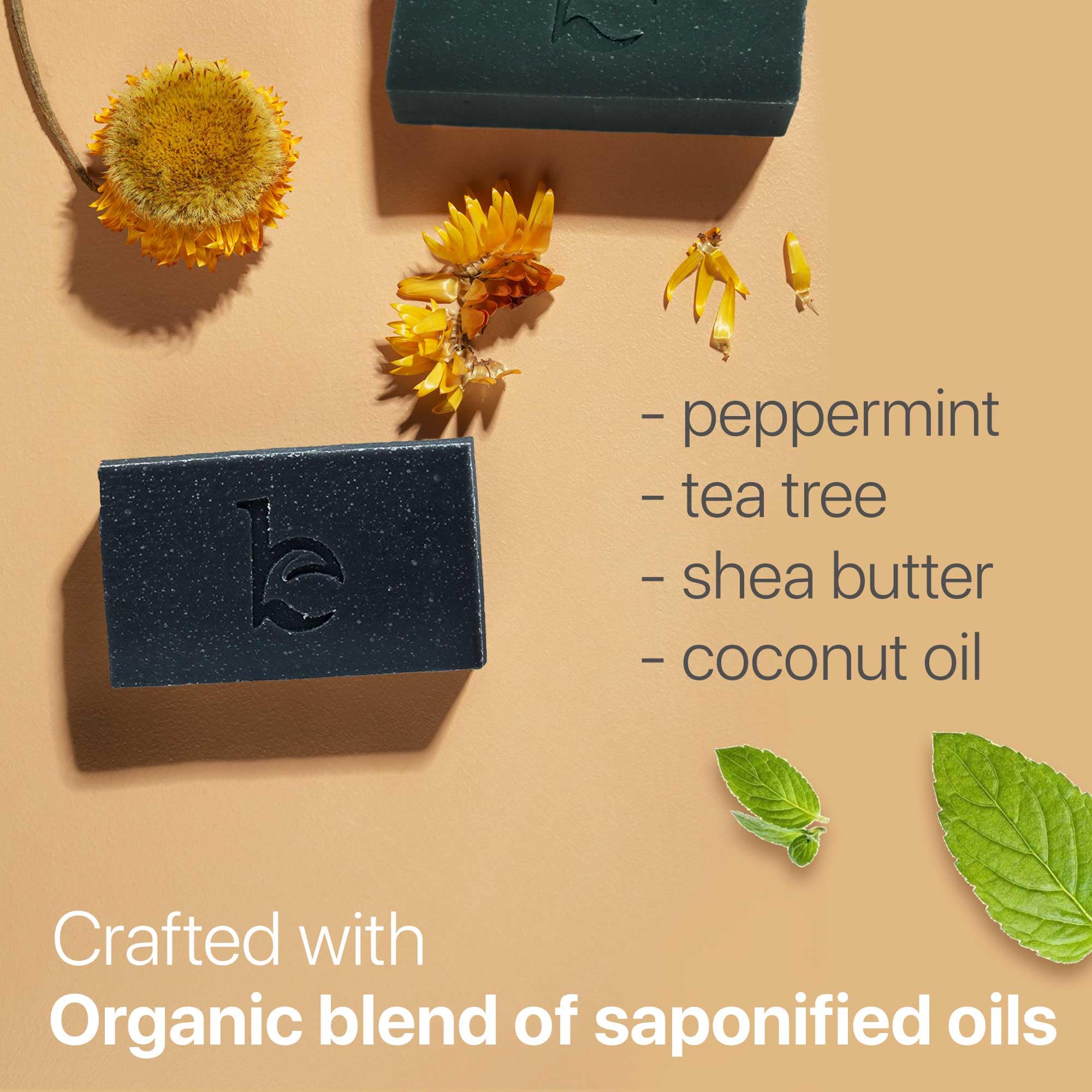 USA imported charcoal facial cleanser bar by Beauty by Earth