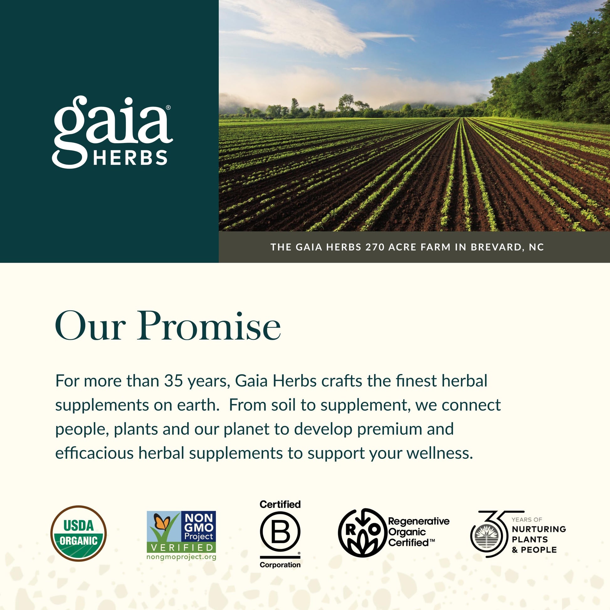Gaia Herbs 60 count herbal wellness supplement product layout
