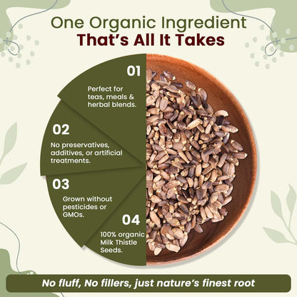 Infused milk thistle herbal tea cup next to whole seeds