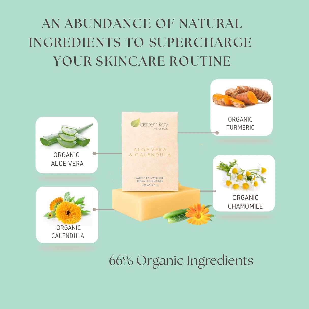 Aspen Kay Naturals USA imported artisanal skincare soap on draining dish