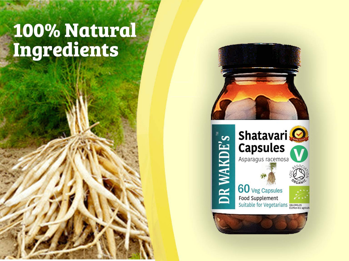 Vegan friendly Dr Wakdes Shatavari health supplement