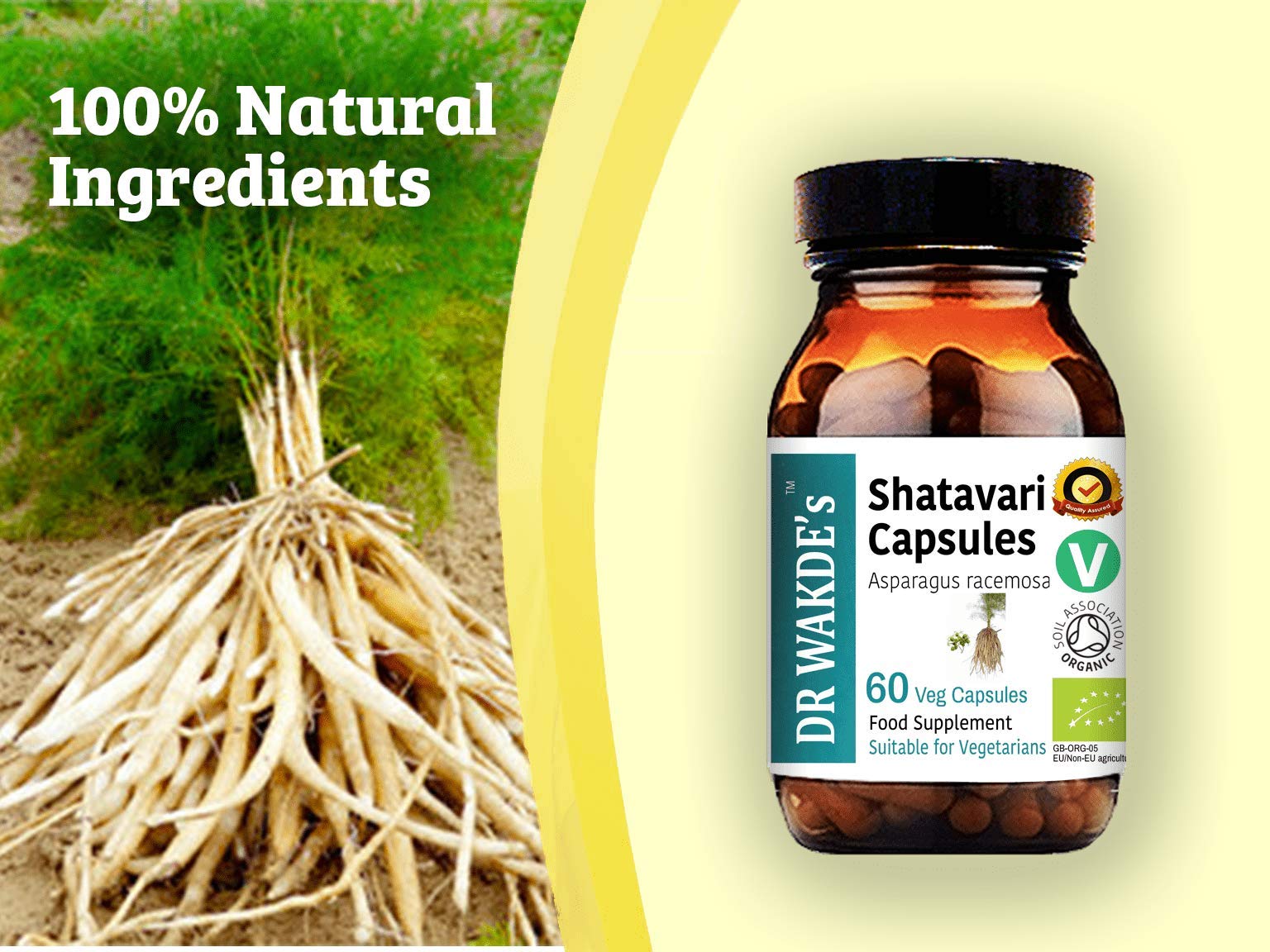 Vegan friendly Dr Wakdes Shatavari health supplement