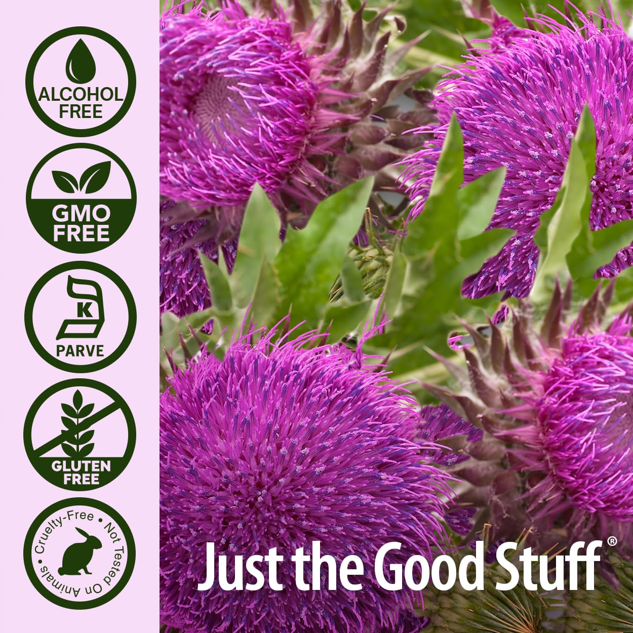 Non GMO verified and kosher certified liquid milk thistle extract back packaging