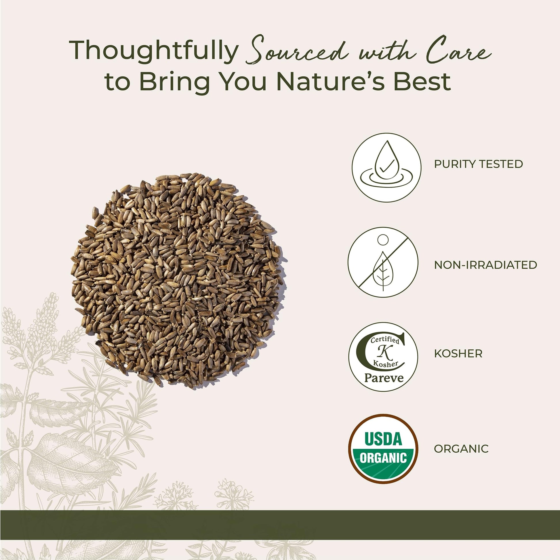 Starwest Botanicals Silybum marianum whole seeds poured out on a surface