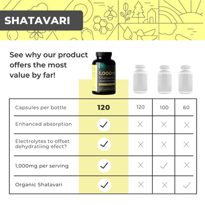 USA imported Eleva Nutrition wellness capsules for hormonal balance.