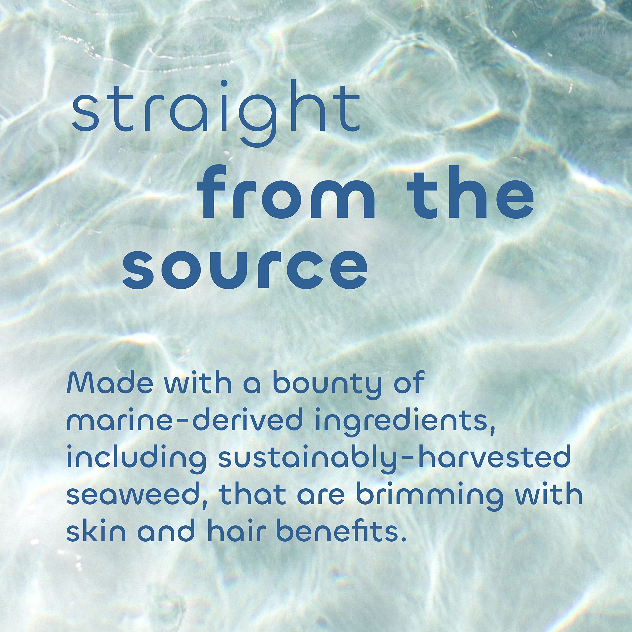 The Seaweed Bath Co 3.75 Ounce detoxifying bar soap for face and body