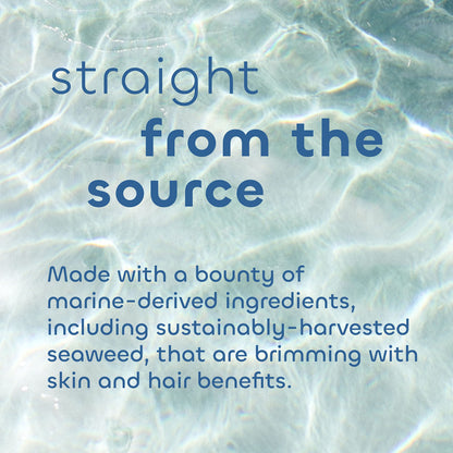 The Seaweed Bath Co 3.75 Ounce detoxifying bar soap for face and body