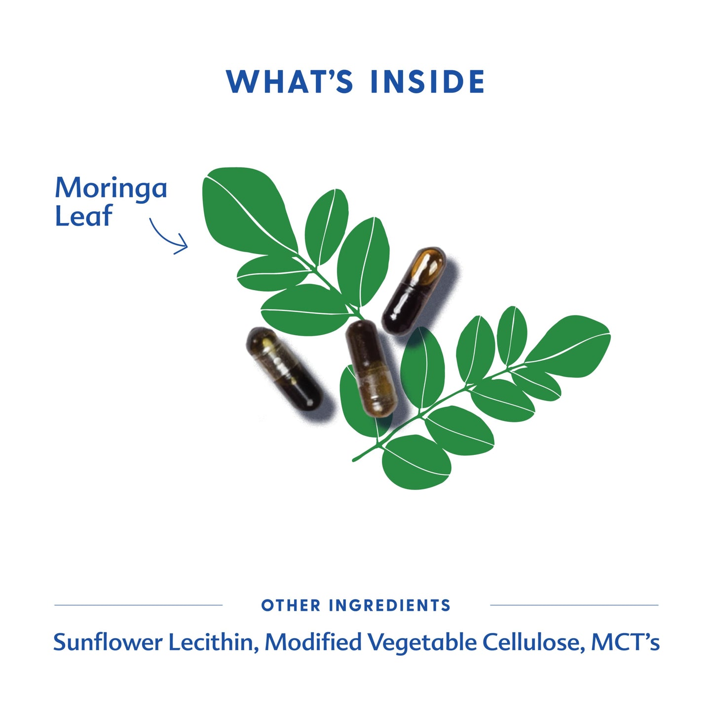 Motherlove fenugreek free moringa supplement for increasing breast milk