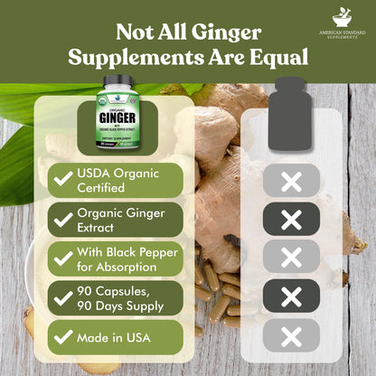 USA manufactured ninety vegetarian capsules bottle of ginger extract for digestive health