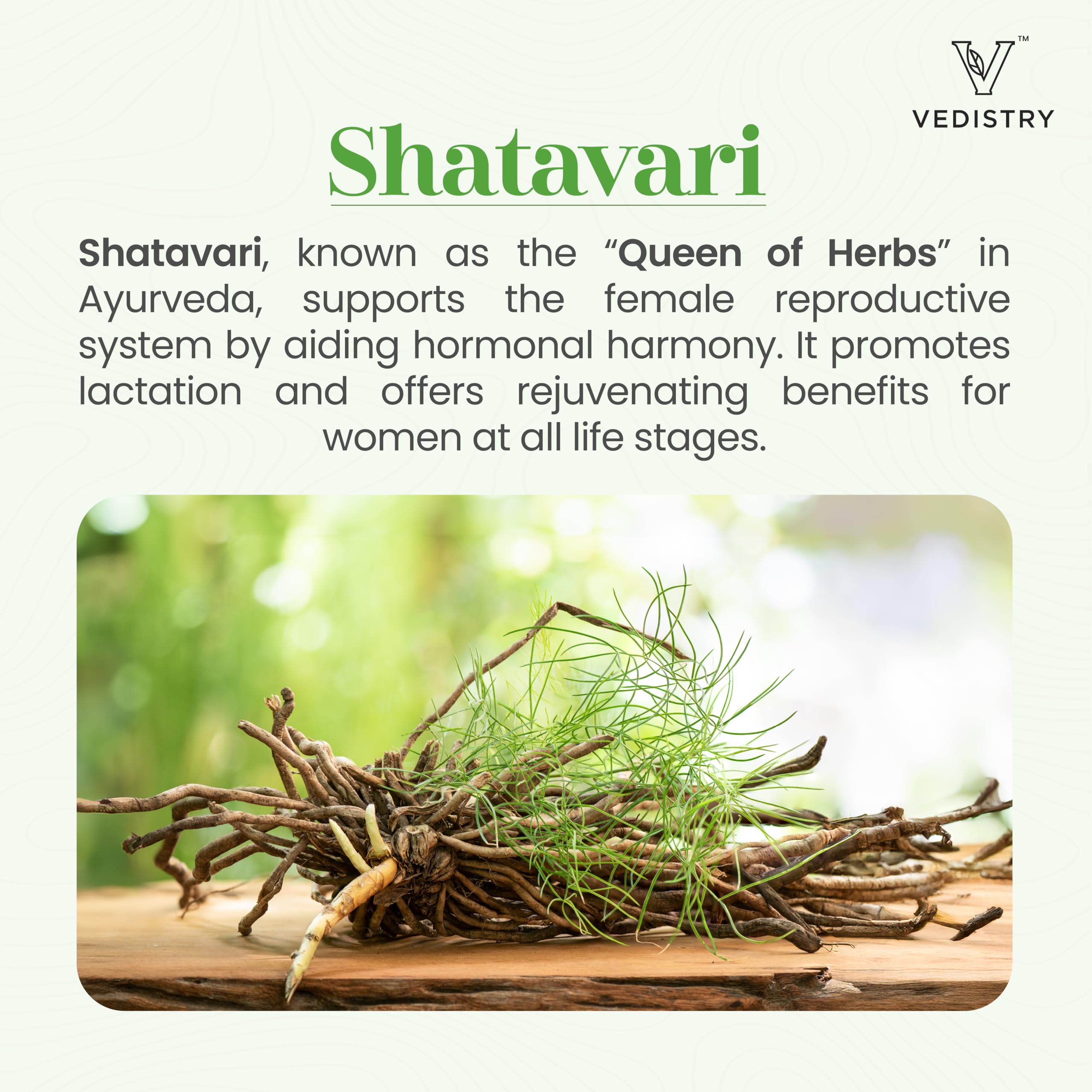 Vedistry Shatavari Plus Ayurvedic supplement packaging showing key ingredients list