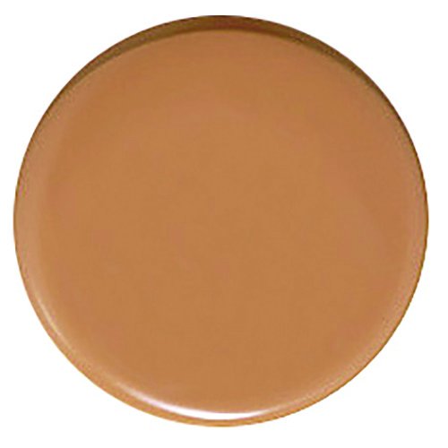 Flori Roberts matte foundation Tan C2 shade swatch for deeper skin tones