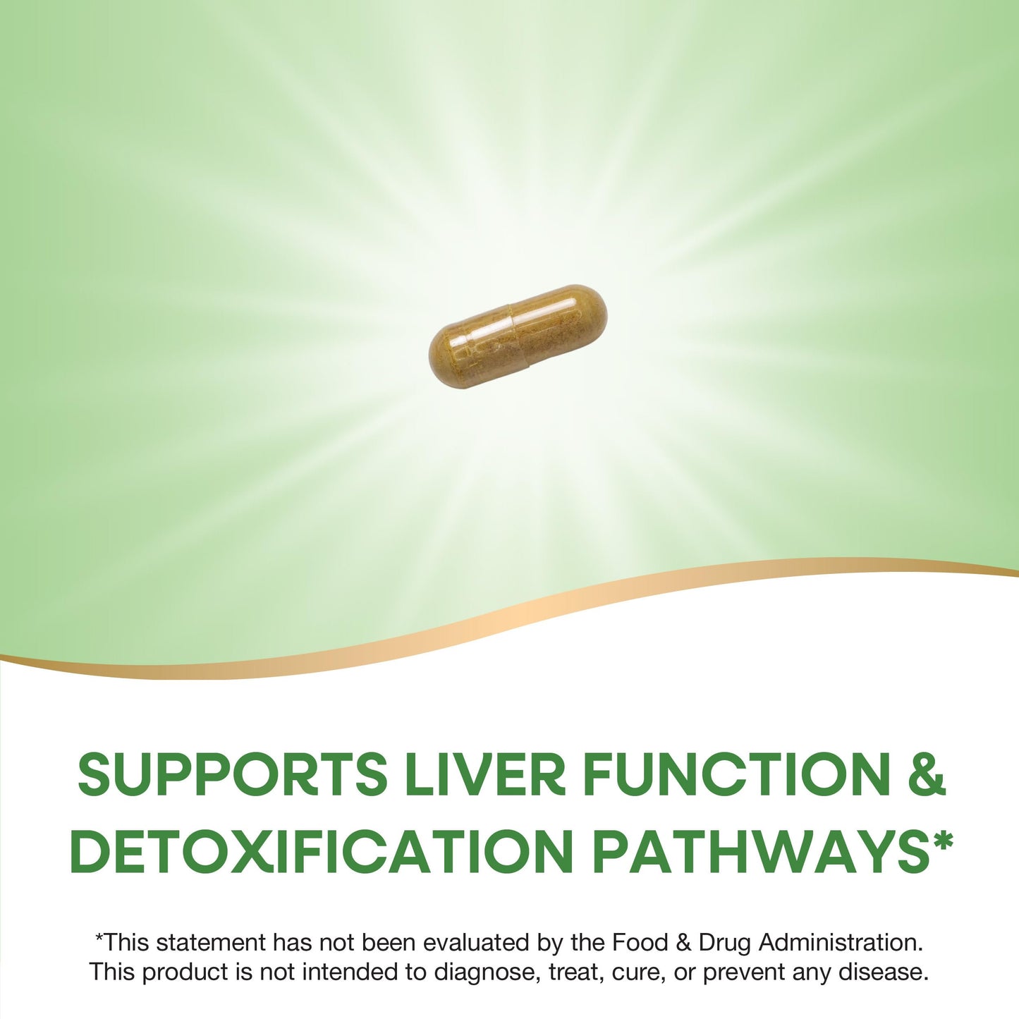 Back view of Nature's Way Milk Thistle vegan capsules showing supplement facts and ingredients