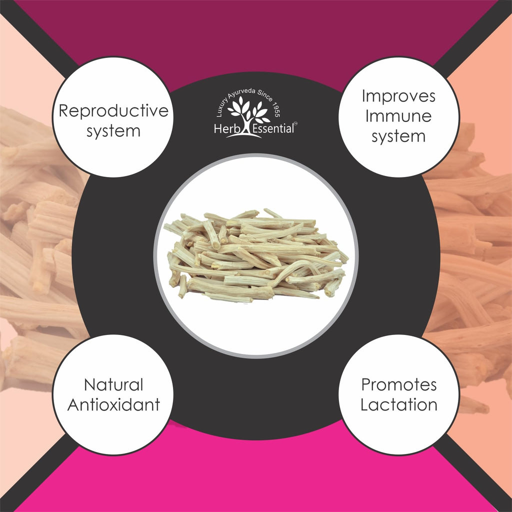Natural Herb Essential Shatavari powder supplement