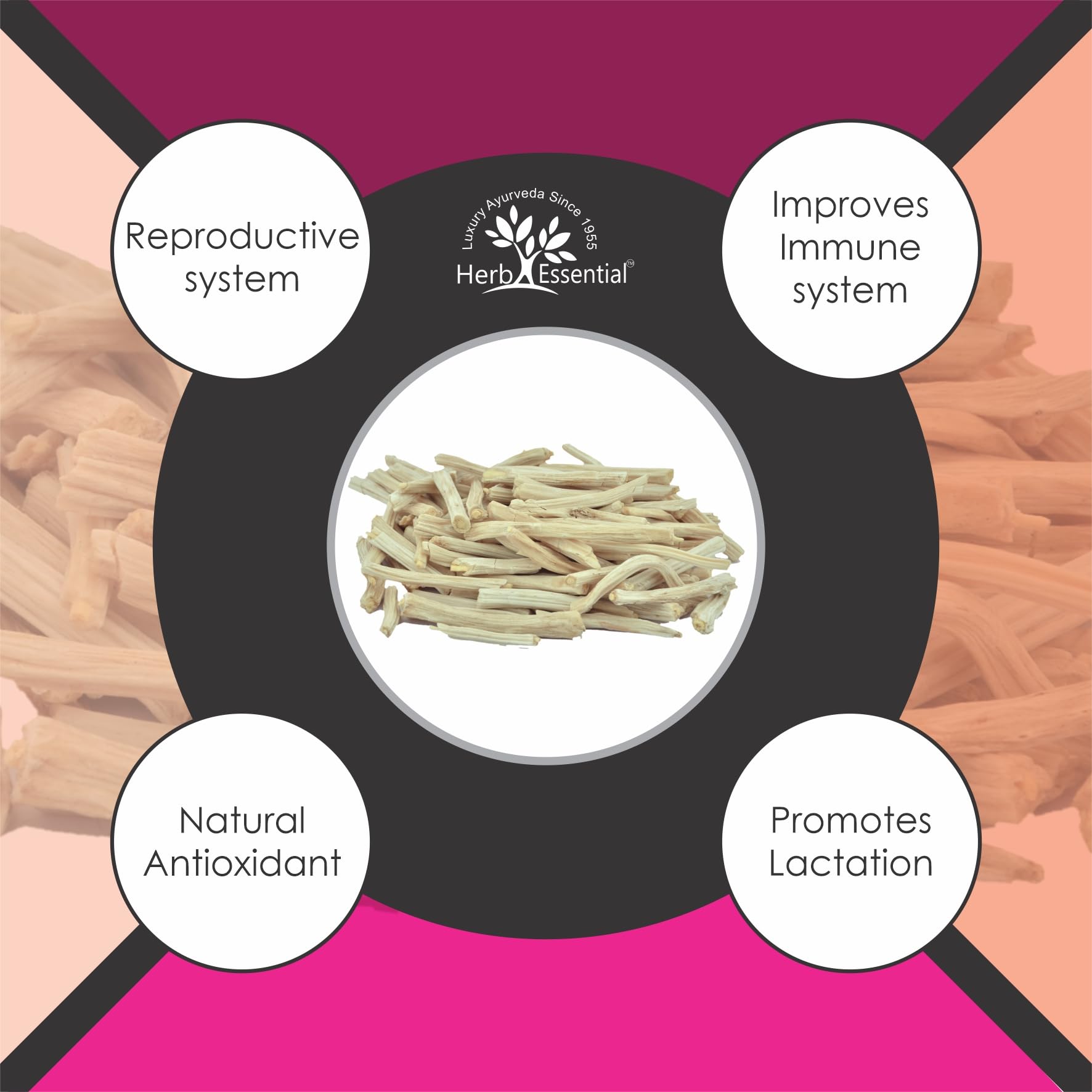 Natural Herb Essential Shatavari powder supplement