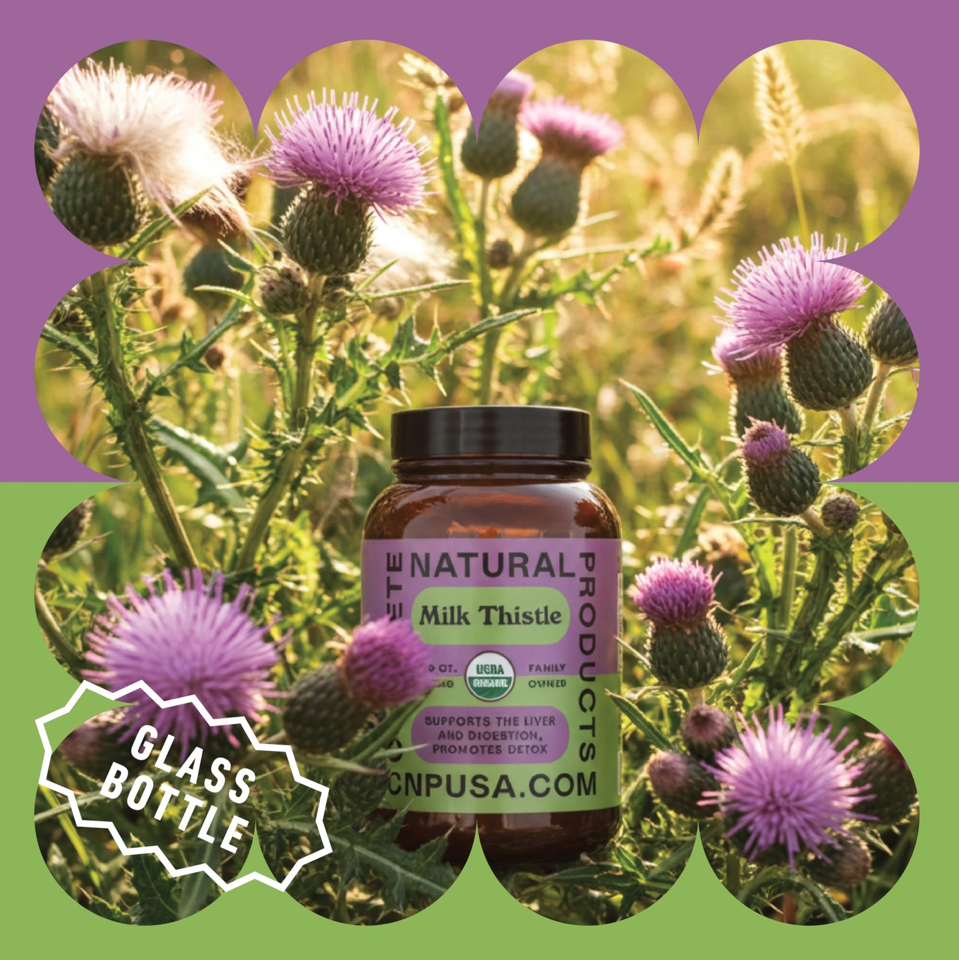Close up of Complete Natural Products unflavored vegan liver detox capsules